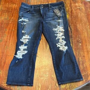 American Eagle Outfitters Artist Crop Dark Blue Distressed Jeans
